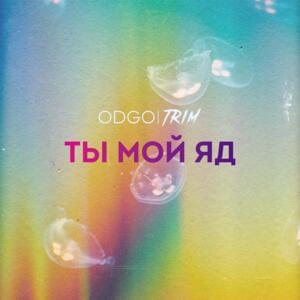 Ты мой яд (You are my poison) - ODGO (Ft. Trim)