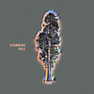 Standing Tall - United Pursuit