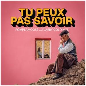 Tu peux pas savoir - Pomplamoose (Ft. Larry Goldings)