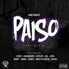 Paiso (Megamix) - Hans Grants (Ft. 4SHOBANGERS, Bright, Darryl, ERA, Keizer, Kevcody, Latifah, Mago Del Blocco, Miggs De Bruijn & Sevn Alias)