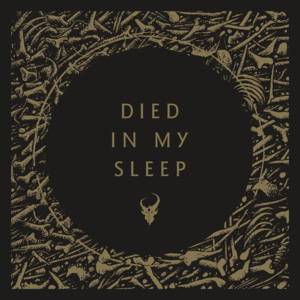 Died in My Sleep - Demon Hunter