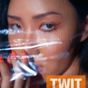 Hwa Sa - 멍청이 (TWIT) [English Translation] - Lyrxo English Translations