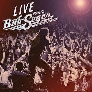 Nutbush City Limits (Live In Detroit/1975/Edit) - Bob Seger