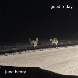 ​forever freak - June Henry