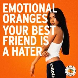 Your Best Friend is a Hater - Emotional Oranges