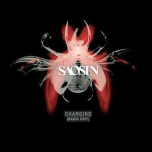 Changing (Radio Edit) - Saosin