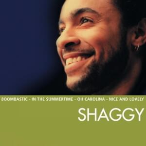 Get Up, Stand Up - Shaggy