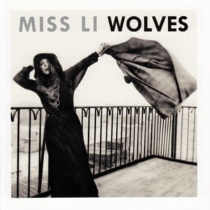 Transformer - Miss Li