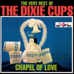 You Should Have Seen The Way He Looked At Me - The Dixie Cups