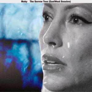 The Sorrow Tree - Moby