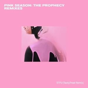 STFU (Tasty Treat Remix) - Pink Guy