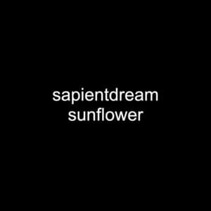 Sunflower (距離) - ​sapientdream & Slushii