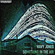 Something in the Air - Wavy Jone$