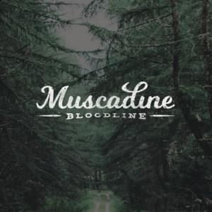 Ginny - Muscadine Bloodline