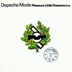 Pleasure, Little Treasure (Live) [Rose Bowl 18/06/88] - Depeche Mode