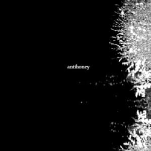 Constant Flow (Original) - ​antihoney