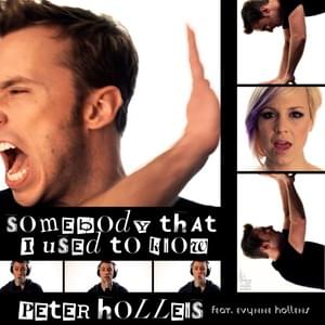 Somebody That I Used To Know - Peter Hollens (Ft. Evynne Hollens)