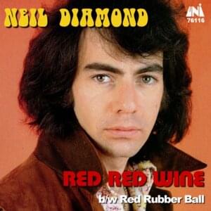 Red Red Wine - Neil Diamond