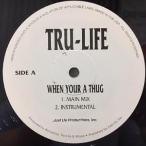 When Your a Thug - Tru Life (Ft. Jewell, Kool G Rap & Prodigy)