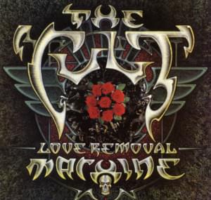 Love Removal Machine - The Cult