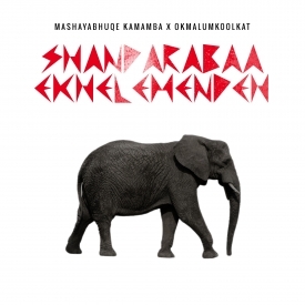 Shandarabaa Ekhelemendeh - Mashayabhuqe KaMamba (Ft. Okmalumkoolkat)