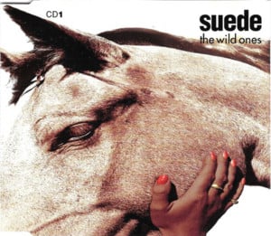 This World Needs a Father - Suede