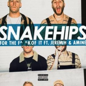 For The F^_^k Of It - Snakehips (Ft. Aminé & Jeremih)