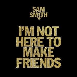 I’m Not Here To Make Friends - Sam Smith