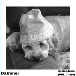 Bromodosis (BBL Drizzy) - DaBoner