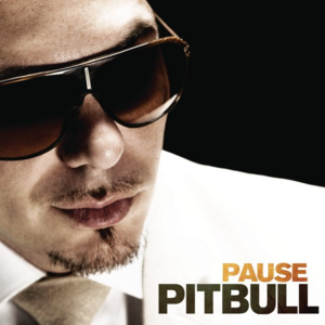 Pause (Zumba Mix) - Pitbull