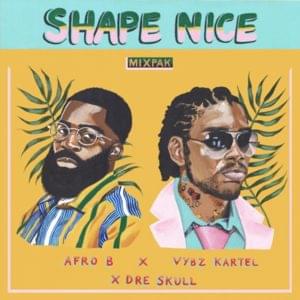 Shape Nice - Afro B, Vybz Kartel & Dre Skull