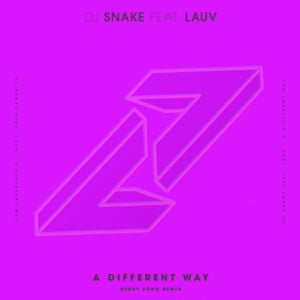 A Different Way (Henry Fong Remix) - DJ Snake (Ft. Henry Fong & Lauv)