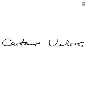 Carolina - Caetano Veloso