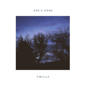 She’s Gone - Vwillz