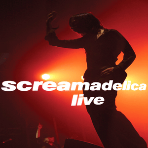 Higher Than the Sun (Live) - Primal Scream