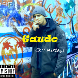 New Soul - Gaudo