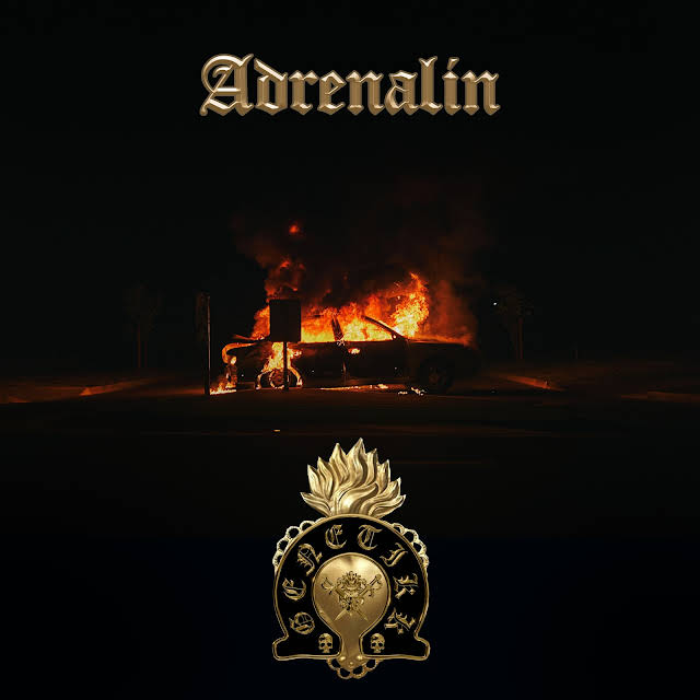 ADRENALIN - Genetikk & LX