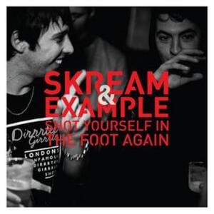 Shot Yourself In The Foot Again - Example (Ft. Skream)