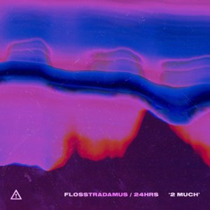 2 MUCH - Flosstradamus (Ft. 24hrs)