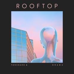 Rooftop - Tensnake (Ft. DRAMA)