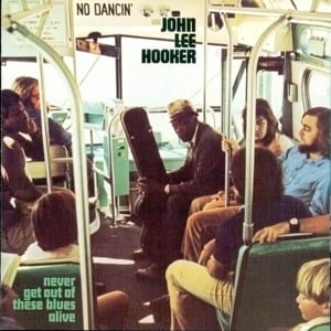 Bumblebee Bumblebee - John Lee Hooker