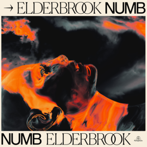 Numb (Elderbrook VIP) - Elderbrook