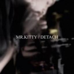 Detach - Mr.Kitty