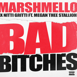 Bad Bitches - Marshmello & NITTI (Ft. Megan Thee Stallion)