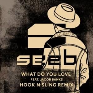 What Do You Love (Hook N Sling Remix) - Seeb (Ft. Jacob Banks)