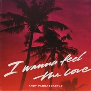 I Wanna Feel The Love - Andy Panda & Castle