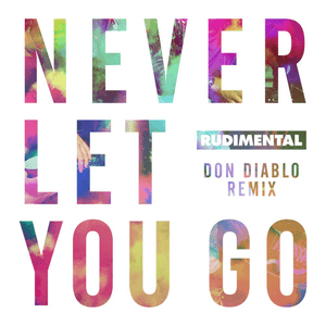 Never Let You Go (Don Diablo Remix) - Rudimental (Ft. Foy Vance)