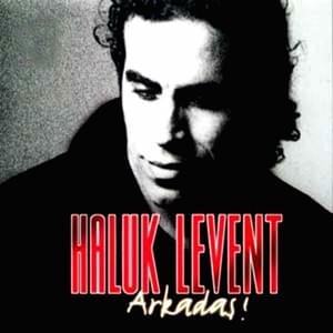 Akşamlar - Haluk Levent