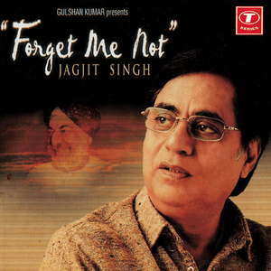 Tum Hamare Nahin - Jagjit Singh