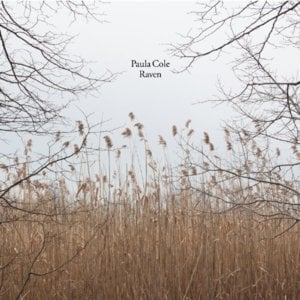 Red Corsette - Paula Cole